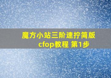 魔方小站三阶速拧简版cfop教程 第1步